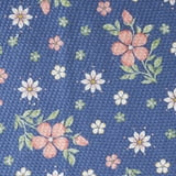 Pioneer Woman Hattie Woven Kitchen Towels 4pc Set Blue Pink 18"x28" New - Picture 4 of 6